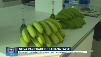 NSC Notícias de quarta-feira, 25 de março de 2026