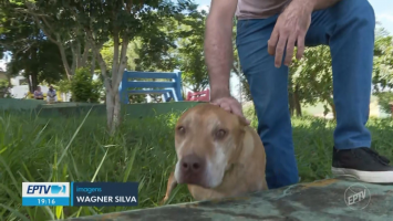 VÍDEOS: EPTV 2 Sul de Minas de terça-feira, 25 de março de 2026